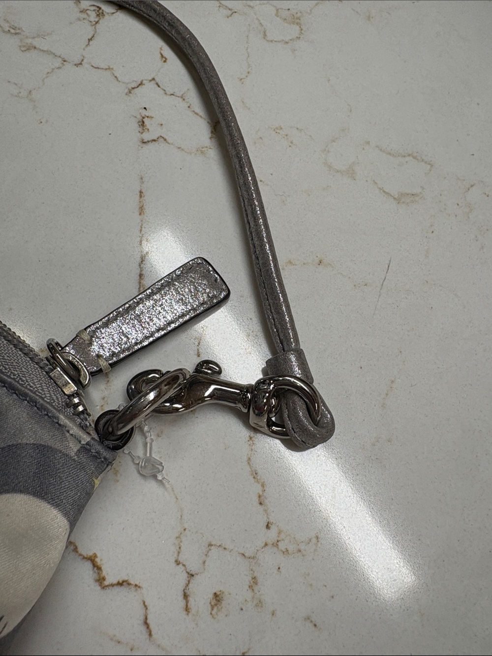 Coach Julia Op Art C Wristlet Silk And Silver View 5